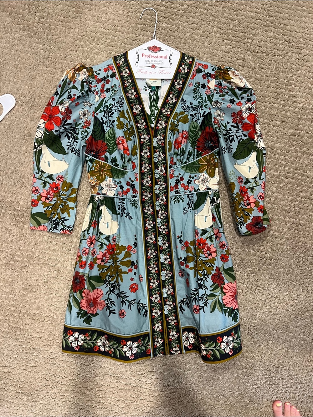 FARM Rio Floral Embroidered Mini Dress